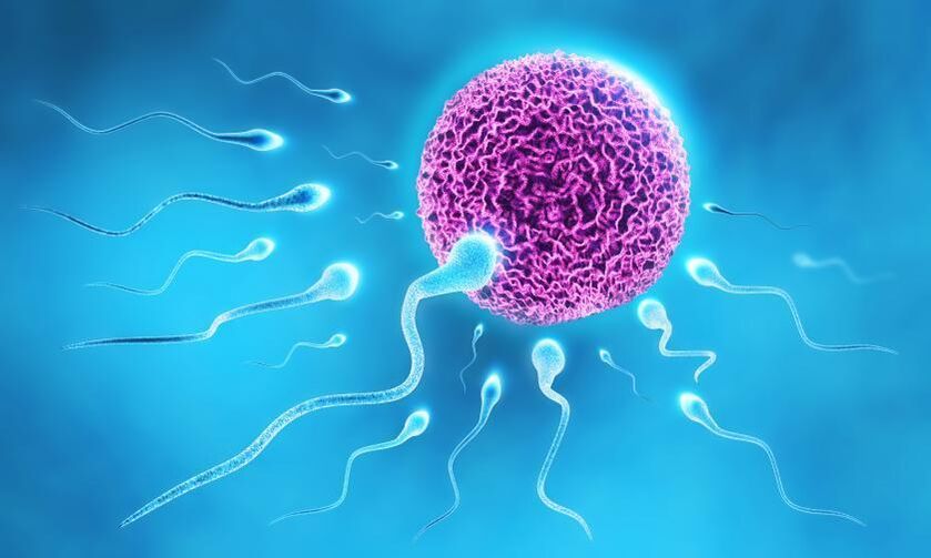 spermie ve složení lubrikantu u mužů