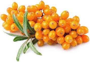Sea Buckthorn