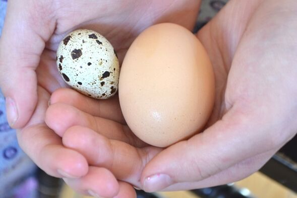 Kuřecí a křepelčí vejce